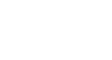 Aircraft Performance Group Logo